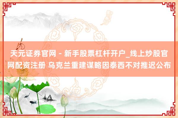 天元证券官网 - 新手股票杠杆开户_线上炒股官网配资注册 乌克兰重建谋略因泰西不对推迟公布