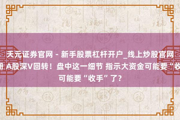 天元证券官网 - 新手股票杠杆开户_线上炒股官网配资注册 A股深V回转！盘中这一细节 指示大资金可能要“收手”了？