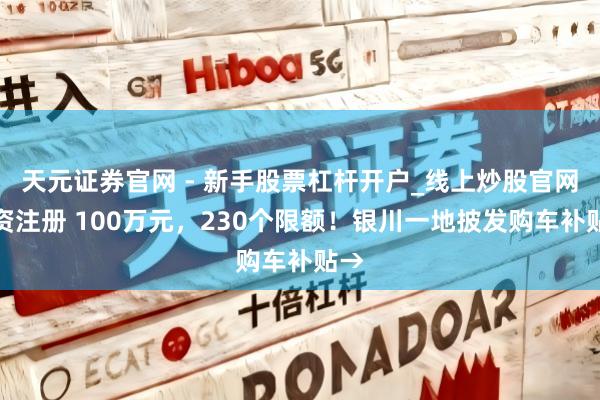 天元证券官网 - 新手股票杠杆开户_线上炒股官网配资注册 100万元，230个限额！银川一地披发购车补贴→