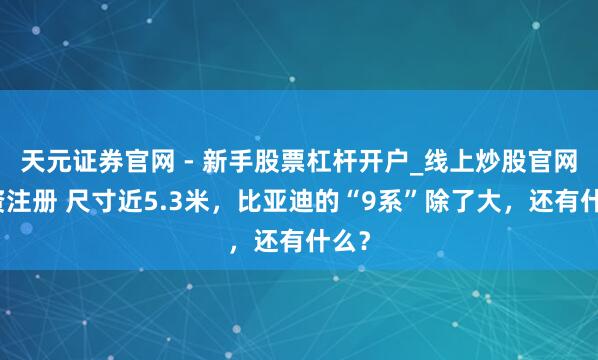 天元证券官网 - 新手股票杠杆开户_线上炒股官网配资注册 尺寸近5.3米，比亚迪的“9系”除了大，还有什么？