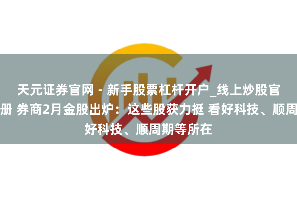 天元证券官网 - 新手股票杠杆开户_线上炒股官网配资注册 券商2月金股出炉：这些股获力挺 看好科技、顺周期等所在