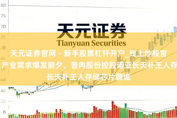 天元证券官网 - 新手股票杠杆开户_线上炒股官网配资注册 产业需求爆发前夕，普冉股份控股诺亚长天补王人存储芯片疆城