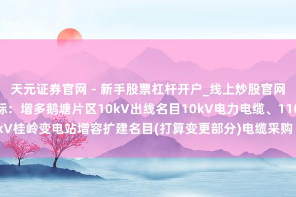 天元证券官网 - 新手股票杠杆开户_线上炒股官网配资注册 新亚电缆中标：增多鹅塘片区10kV出线名目10kV电力电缆、110kV桂岭变电站增容扩建名目(打算变更部分)电缆采购【再行采购】成交遵循公告