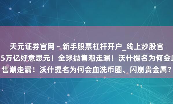 天元证券官网 - 新手股票杠杆开户_线上炒股官网配资注册 一天挥发6.5万亿好意思元！全球抛售潮走漏！沃什提名为何会血洗币圈、闪崩贵金属？
