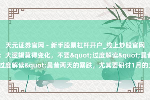 天元证券官网 - 新手股票杠杆开户_线上炒股官网配资注册 高盛交往员：大逻辑莫得变化，不要"过度解读"曩昔两天的暴跌，尤其要研讨1月的大涨