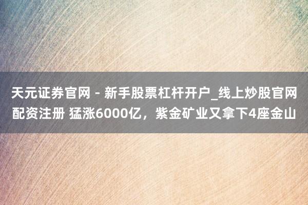 天元证券官网 - 新手股票杠杆开户_线上炒股官网配资注册 猛涨6000亿，紫金矿业又拿下4座金山