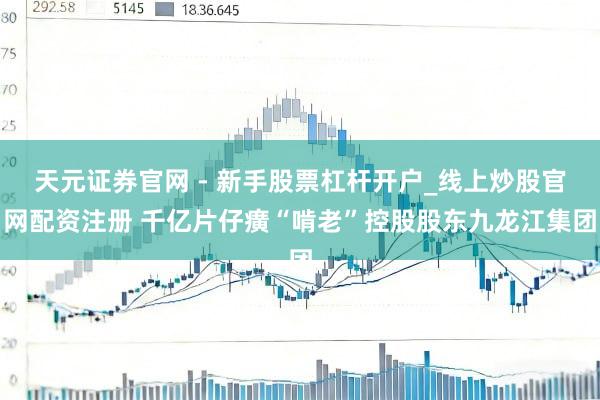 天元证券官网 - 新手股票杠杆开户_线上炒股官网配资注册 千亿片仔癀“啃老”控股股东九龙江集团