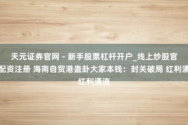 天元证券官网 - 新手股票杠杆开户_线上炒股官网配资注册 海南自贸港蛊卦大家本钱：封关破局 红利涌流