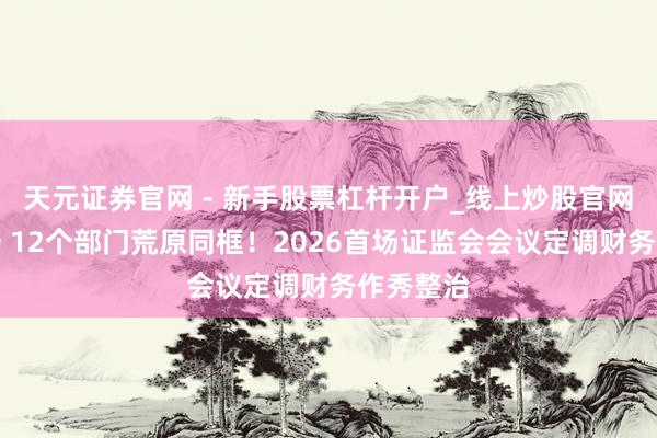 天元证券官网 - 新手股票杠杆开户_线上炒股官网配资注册 12个部门荒原同框！2026首场证监会会议定调财务作秀整治