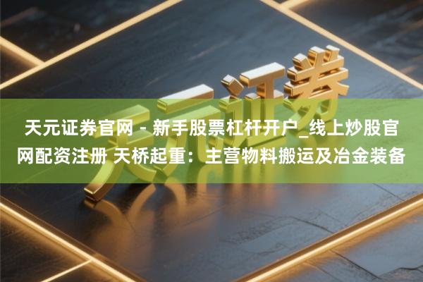 天元证券官网 - 新手股票杠杆开户_线上炒股官网配资注册 天桥起重：主营物料搬运及冶金装备