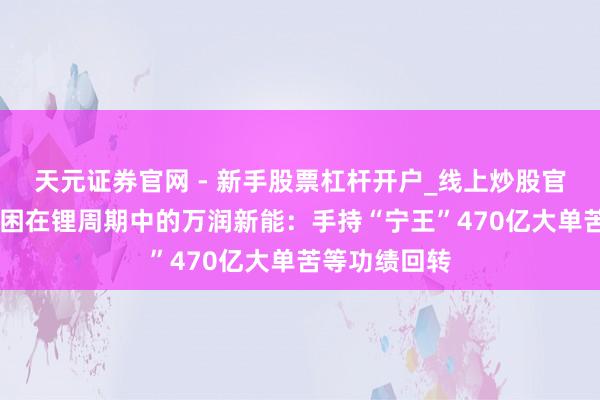 天元证券官网 - 新手股票杠杆开户_线上炒股官网配资注册 困在锂周期中的万润新能：手持“宁王”470亿大单苦等功绩回转