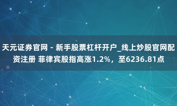 天元证券官网 - 新手股票杠杆开户_线上炒股官网配资注册 菲律宾股指高涨1.2%，至6236.81点