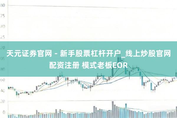 天元证券官网 - 新手股票杠杆开户_线上炒股官网配资注册 模式老板EOR