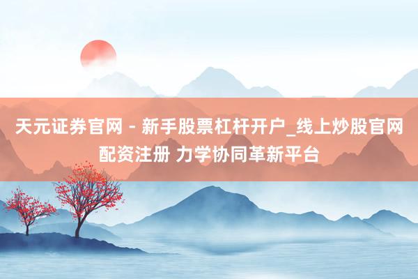 天元证券官网 - 新手股票杠杆开户_线上炒股官网配资注册 力学协同革新平台