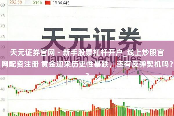 天元证券官网 - 新手股票杠杆开户_线上炒股官网配资注册 黄金迎来历史性暴跌，还有反弹契机吗？