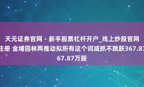 天元证券官网 - 新手股票杠杆开户_线上炒股官网配资注册 金埔园林两推动拟所有这个词减抓不跳跃367.87万股