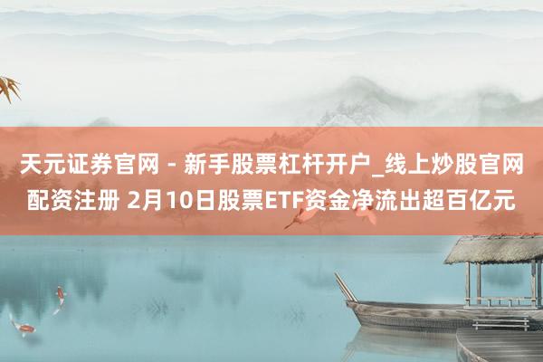 天元证券官网 - 新手股票杠杆开户_线上炒股官网配资注册 2月10日股票ETF资金净流出超百亿元