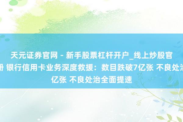 天元证券官网 - 新手股票杠杆开户_线上炒股官网配资注册 银行信用卡业务深度救援：数目跌破7亿张 不良处治全面提速