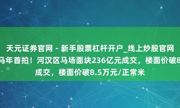 天元证券官网 - 新手股票杠杆开户_线上炒股官网配资注册 广州马年首拍！河汉区马场面块236亿元成交，楼面价破8.5万元/正常米