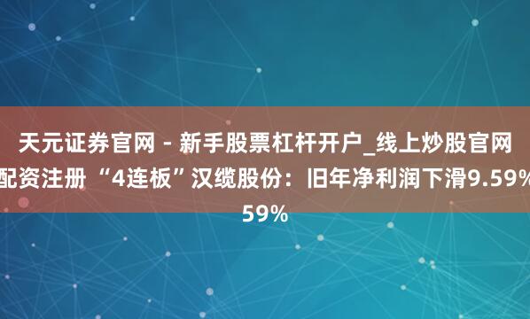 天元证券官网 - 新手股票杠杆开户_线上炒股官网配资注册 “4连板”汉缆股份：旧年净利润下滑9.59%