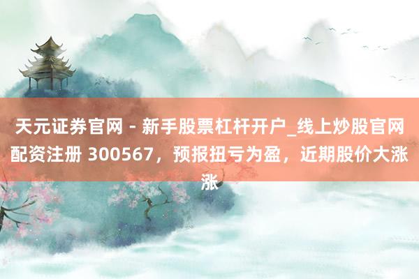 天元证券官网 - 新手股票杠杆开户_线上炒股官网配资注册 300567，预报扭亏为盈，近期股价大涨