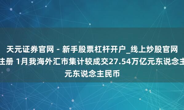天元证券官网 - 新手股票杠杆开户_线上炒股官网配资注册 1月我海外汇市集计较成交27.54万亿元东说念主民币