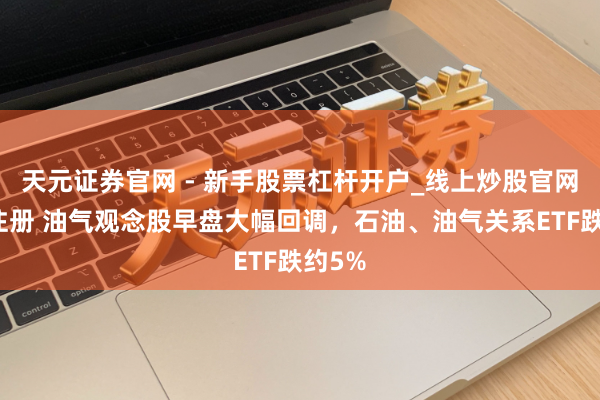 天元证券官网 - 新手股票杠杆开户_线上炒股官网配资注册 油气观念股早盘大幅回调，石油、油气关系ETF跌约5%