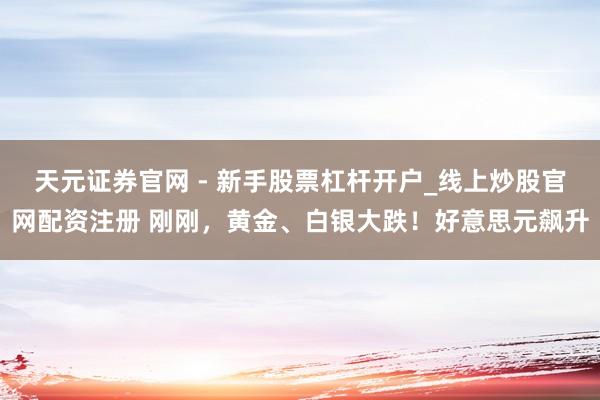 天元证券官网 - 新手股票杠杆开户_线上炒股官网配资注册 刚刚，黄金、白银大跌！好意思元飙升