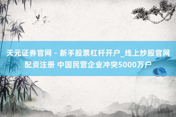 天元证券官网 - 新手股票杠杆开户_线上炒股官网配资注册 中国民营企业冲突5000万户