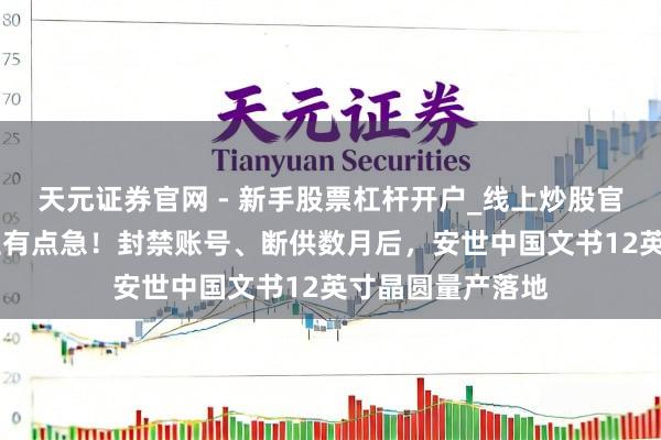 天元证券官网 - 新手股票杠杆开户_线上炒股官网配资注册 荷兰有点急！封禁账号、断供数月后，安世中国文书12英寸晶圆量产落地