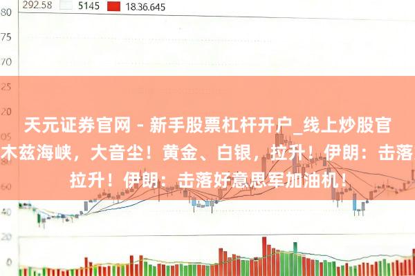 天元证券官网 - 新手股票杠杆开户_线上炒股官网配资注册 霍尔木兹海峡，大音尘！黄金、白银，拉升！伊朗：击落好意思军加油机！