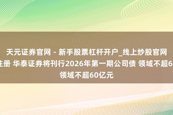 天元证券官网 - 新手股票杠杆开户_线上炒股官网配资注册 华泰证券将刊行2026年第一期公司债 领域不超60亿元
