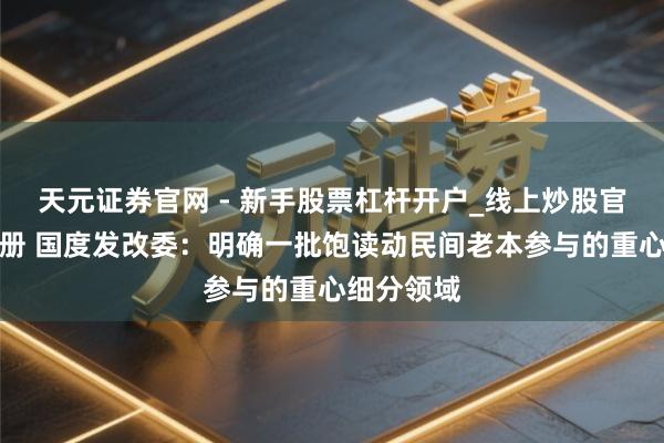 天元证券官网 - 新手股票杠杆开户_线上炒股官网配资注册 国度发改委：明确一批饱读动民间老本参与的重心细分领域