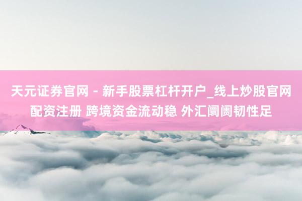 天元证券官网 - 新手股票杠杆开户_线上炒股官网配资注册 跨境资金流动稳 外汇阛阓韧性足
