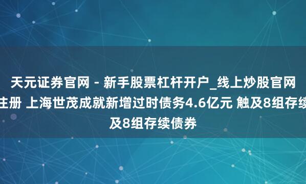 天元证券官网 - 新手股票杠杆开户_线上炒股官网配资注册 上海世茂成就新增过时债务4.6亿元 触及8组存续债券