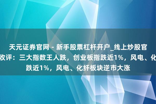 天元证券官网 - 新手股票杠杆开户_线上炒股官网配资注册 A股收评：三大指数王人跌，创业板指跌近1%，风电、化纤板块逆市大涨