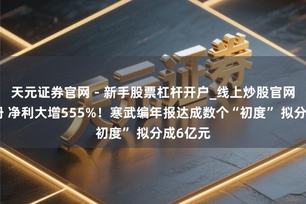 天元证券官网 - 新手股票杠杆开户_线上炒股官网配资注册 净利大增555%！寒武编年报达成数个“初度” 拟分成6亿元