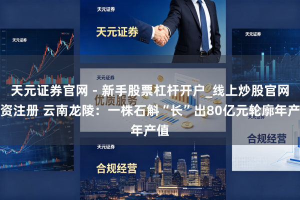 天元证券官网 - 新手股票杠杆开户_线上炒股官网配资注册 云南龙陵：一株石斛“长”出80亿元轮廓年产值