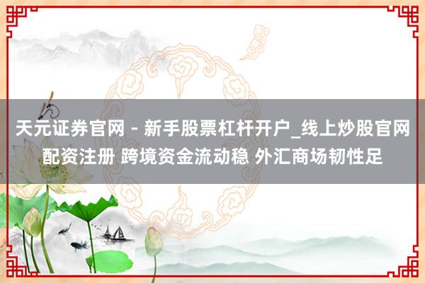天元证券官网 - 新手股票杠杆开户_线上炒股官网配资注册 跨境资金流动稳 外汇商场韧性足