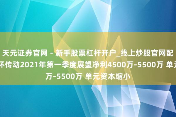 天元证券官网 - 新手股票杠杆开户_线上炒股官网配资注册 双环传动2021年第一季度展望净利4500万-5500万 单元资本缩小