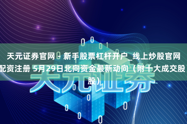 天元证券官网 - 新手股票杠杆开户_线上炒股官网配资注册 5月29日北向资金最新动向（附十大成交股）