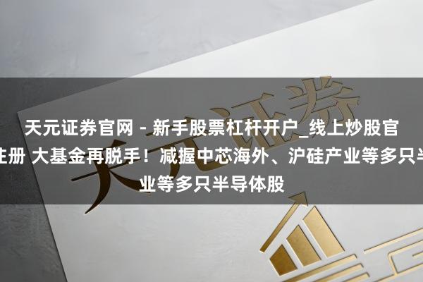 天元证券官网 - 新手股票杠杆开户_线上炒股官网配资注册 大基金再脱手！减握中芯海外、沪硅产业等多只半导体股