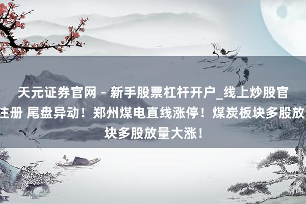 天元证券官网 - 新手股票杠杆开户_线上炒股官网配资注册 尾盘异动！郑州煤电直线涨停！煤炭板块多股放量大涨！