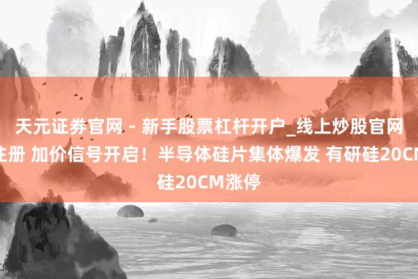 天元证券官网 - 新手股票杠杆开户_线上炒股官网配资注册 加价信号开启！半导体硅片集体爆发 有研硅20CM涨停