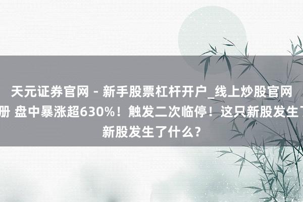 天元证券官网 - 新手股票杠杆开户_线上炒股官网配资注册 盘中暴涨超630%！触发二次临停！这只新股发生了什么？