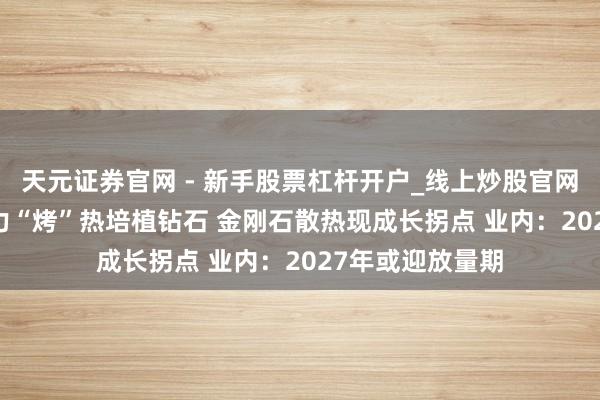 天元证券官网 - 新手股票杠杆开户_线上炒股官网配资注册 AI算力“烤”热培植钻石 金刚石散热现成长拐点 业内：2027年或迎放量期