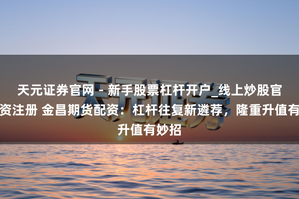 天元证券官网 - 新手股票杠杆开户_线上炒股官网配资注册 金昌期货配资：杠杆往复新遴荐，隆重升值有妙招