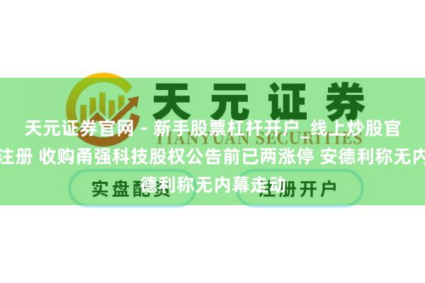 天元证券官网 - 新手股票杠杆开户_线上炒股官网配资注册 收购甬强科技股权公告前已两涨停 安德利称无内幕走动