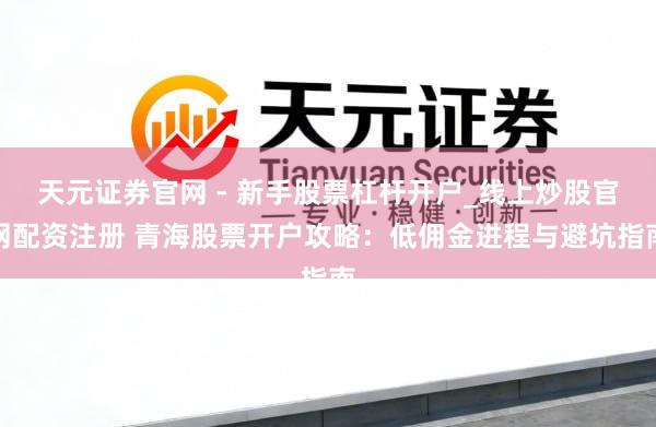 天元证券官网 - 新手股票杠杆开户_线上炒股官网配资注册 青海股票开户攻略：低佣金进程与避坑指南